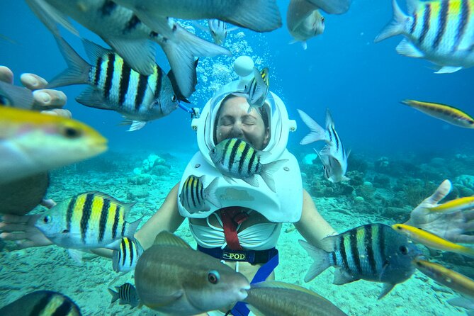 Curacao Guided Underwater Walking Tour No Swimming Skills Needed - Booking and Confirmation