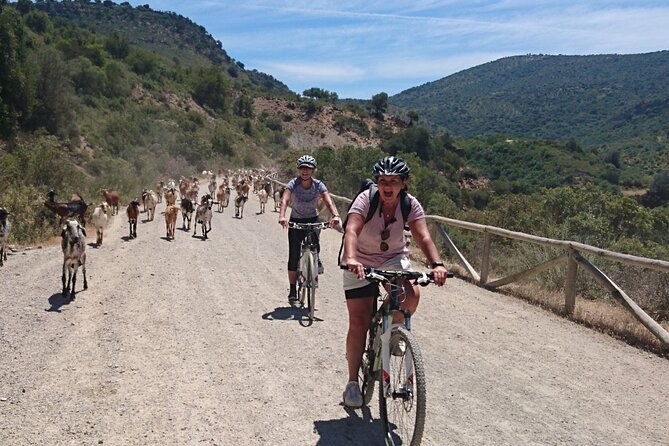 Cycling - via Verde De La Sierra - 36KM - Easy Level - Exploring the Via Verde