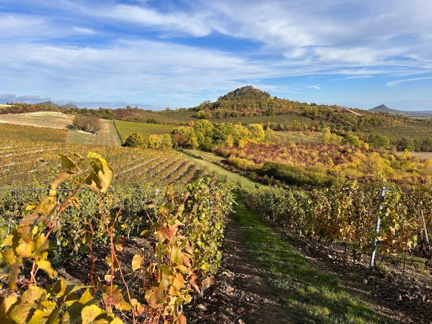 Czech Vineyards and Wine Tasting 4WD Tour With Lunch - Winery and Local Food