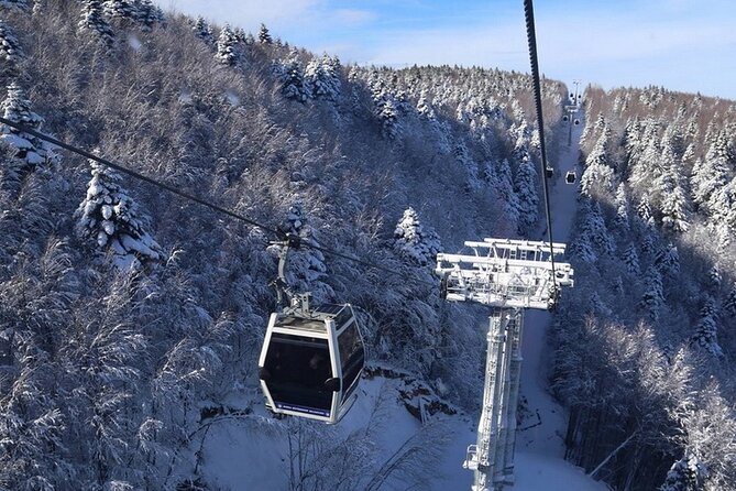 Daily Bursa Uludag Mountain & Cable Car Tour With Lunch From Istanbul - Tour Highlights