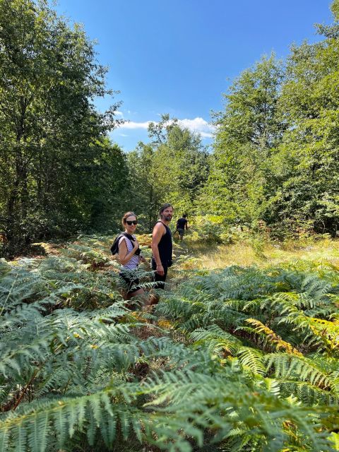 Daily Visit to a Family Farm in Donji Lapac, Lika - Foraging and Hiking Opportunities