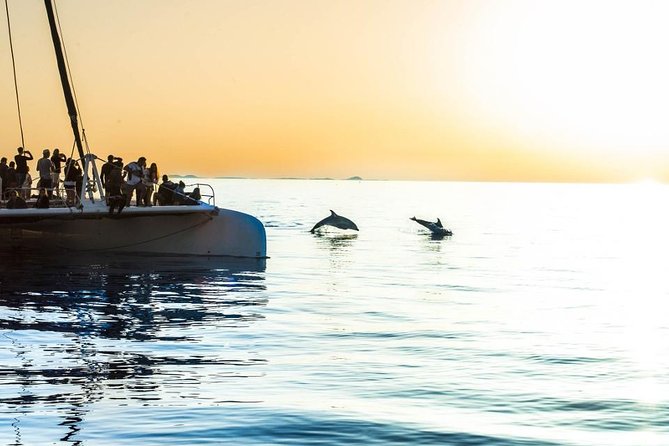 Day Catamaran Trip: Cap Des Freus and Llevant Natural Park - Guest Feedback and Ratings