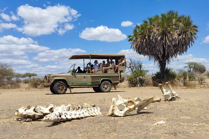 Day Safari Tour Selous Game Reserve - Additional Information