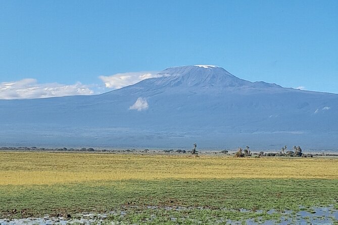 Day Tour To Amboseli National Park From Nairobi - Highlights of the Tour