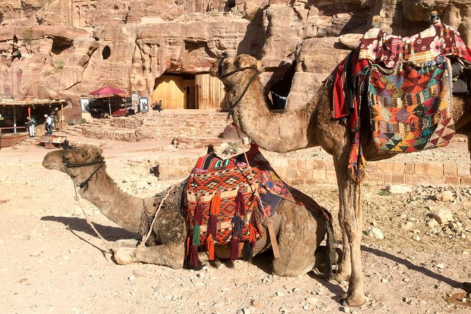 Day Tour to Petra From Eilat - Important Requirements