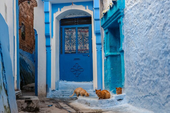 Day Trip From Fes to Chefchaouen - Additional Information and Tips