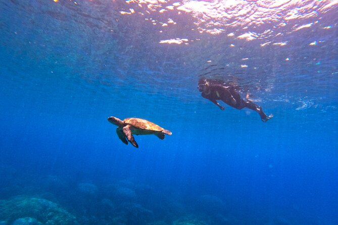 Daymaniyat Islands Snorkeling Sharing Trip - Preparing for the Trip