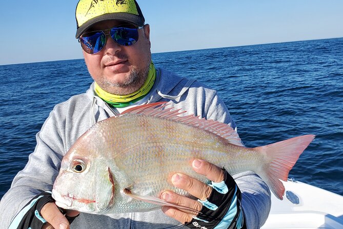 Deep Sea Fishing Dubai - Variety of Fish