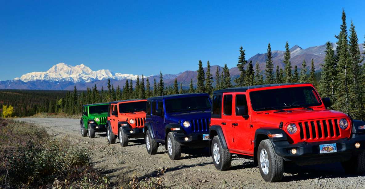 Denali: Highway Jeep Excursion - Abundant Wildlife Sightings