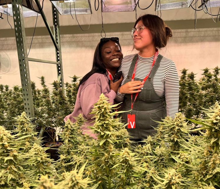 Denver: Cannabis Tour With Grow Facility Access - Customer Reviews