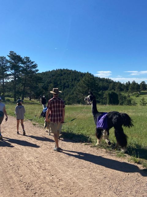 Denver: Llama Hike in the Rocky Mountains - Meeting Point and Parking Information