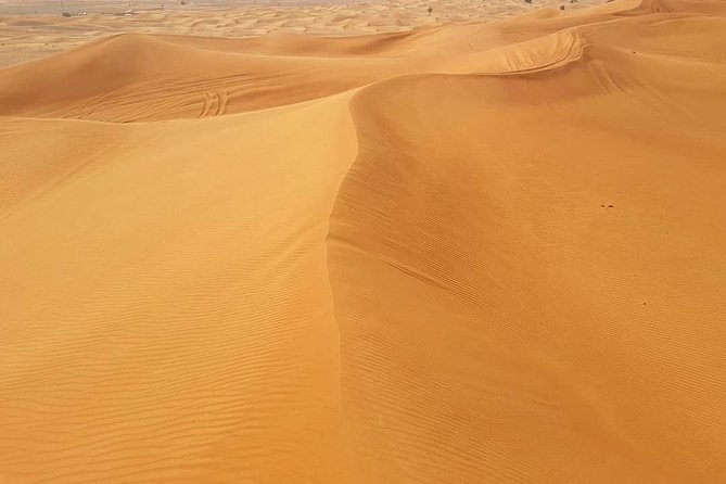 Desert Safari Red Dunes With Camel Ride, Sandboard, BBQ and Shows - Policies and Restrictions