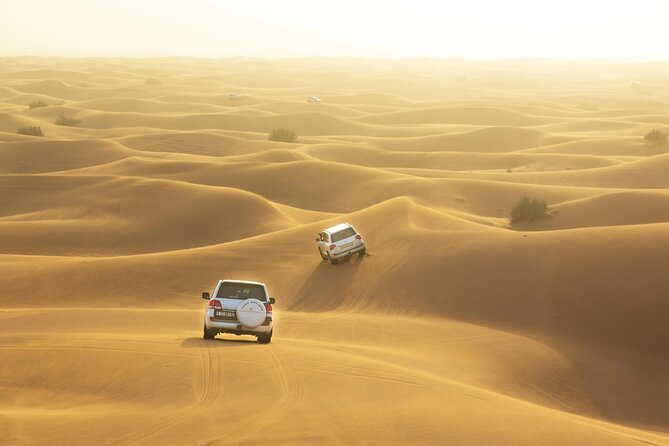 Desert Safari With BBQ Dinner , Sand Boarding , Dune Bashing - Dining Experience