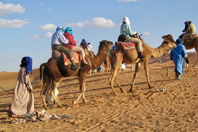 Desert Trip: Fès-Merzouga (1 Night) - Ouarzazat (1 Night) - Marrakech - Tour Highlights and Reviews