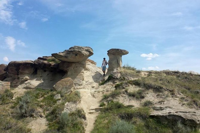 Dinosaur World 1 Day: Drumheller-Badland-Hoodoo-Mine National Historic - Tour Considerations