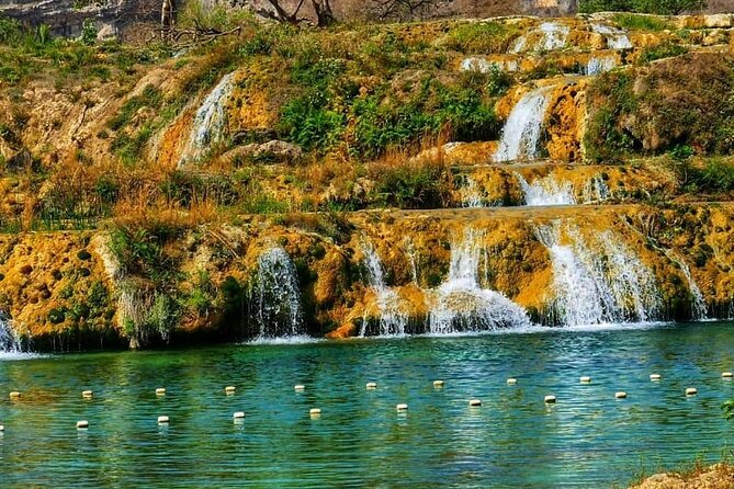 Discover Dhofar (East and West) White Beach, Waterfall, Camels & Mountains - Interacting With Camels