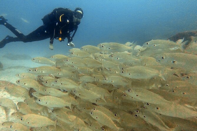 Discover PADI Scuba Diving in the Area of Tortugas in Playa De Abades - Important Health and Safety Considerations