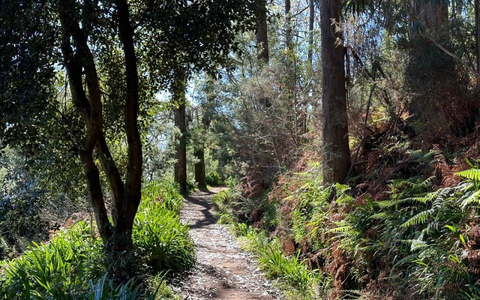 Discover the Paradise Valley - a Quick Escape for Everyone - Scenic Paths and Nature