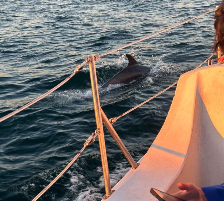 Dolphin Sighting Sunset Tour - Transportation and Accessibility