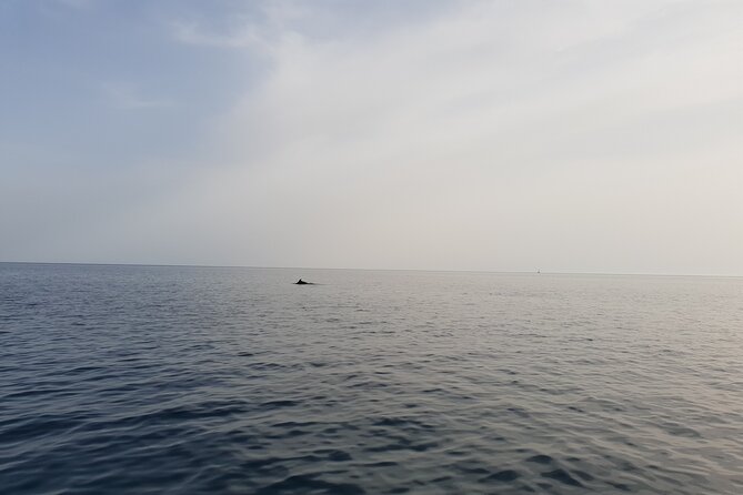 Dolphin Watching Sunset Boat Trip in Pula With Dinner - Cancellation and Refund Policy