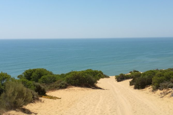 Donana National Park: Guided Day Tour From Seville - Guide Expertise