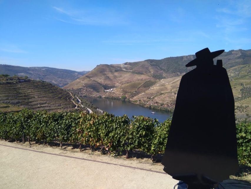 Douro Valley & Amarante - From Porto or Guimarães - Local Producer Visit and Tasting