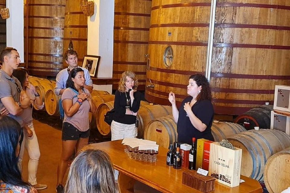 Douro Valley: Full-Day Private Tour From Porto - Multilingual Guide Services