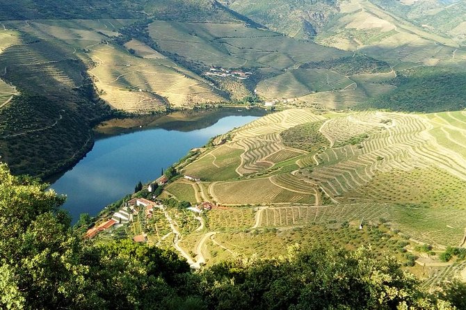 Douro Valley Wine Tour With Friends & Traditional Lunch - Booking Information