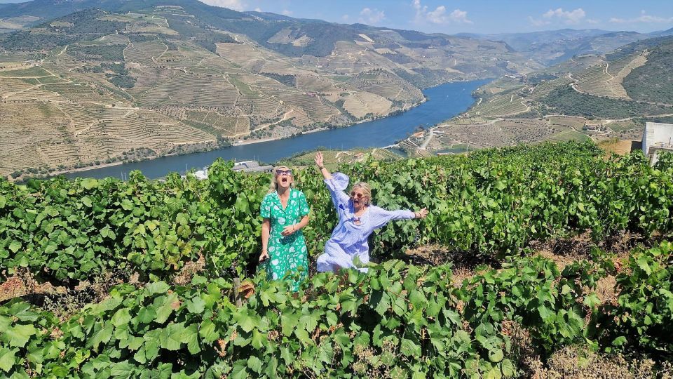 Douro Valley:Expert Wine Guide,Boat, Wine, Olive Oil & Lunch - Activities