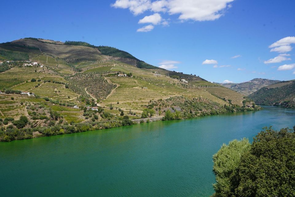 Douro: Wine Tasting and River Cruise Experience - Recap