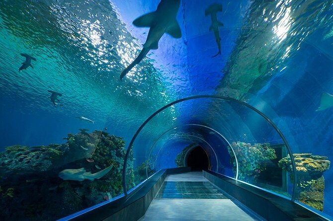 Dubai Aquarium and Underwater Zoo - Plan Your Visit