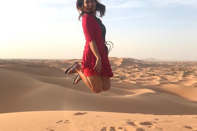 Dubai Desert Red Dune Half-Day Safari Adventure and BBQ Dinner - Safety and Precautions