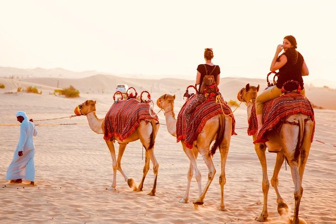 Dubai Red Dunes Desert Safari, With BBQ, Camel Ride, Sand Boarding And Much More - Logistics and Inclusions