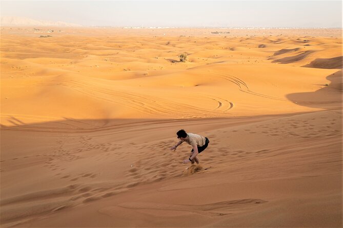 Dubai Red Dunes With Sandboarding, Camel Ride, Falcon & VIP Camp - Tour Group Size and Suitability