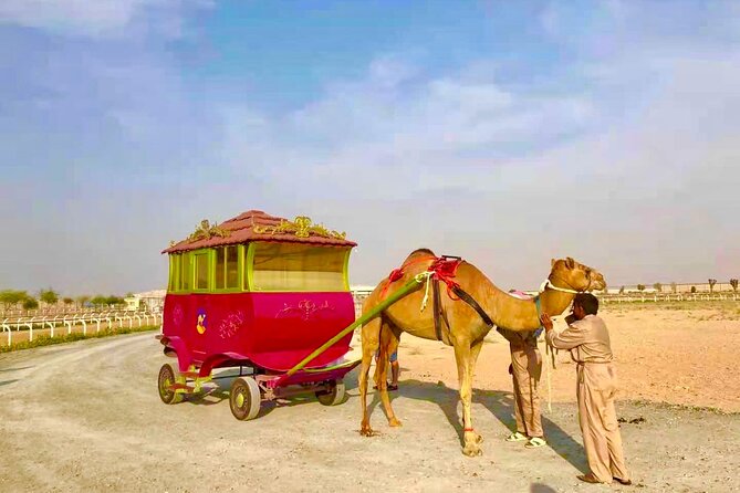 Dubai Royal Camel Race With Prime Seats & Short Camel Ride - Optional Upgrades