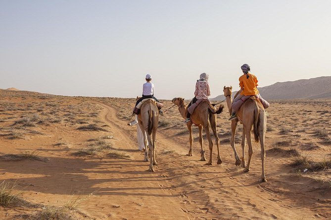 Dubai Sunset Camel Trekking With Shows & BBQ Dinner - Transportation and Restrictions