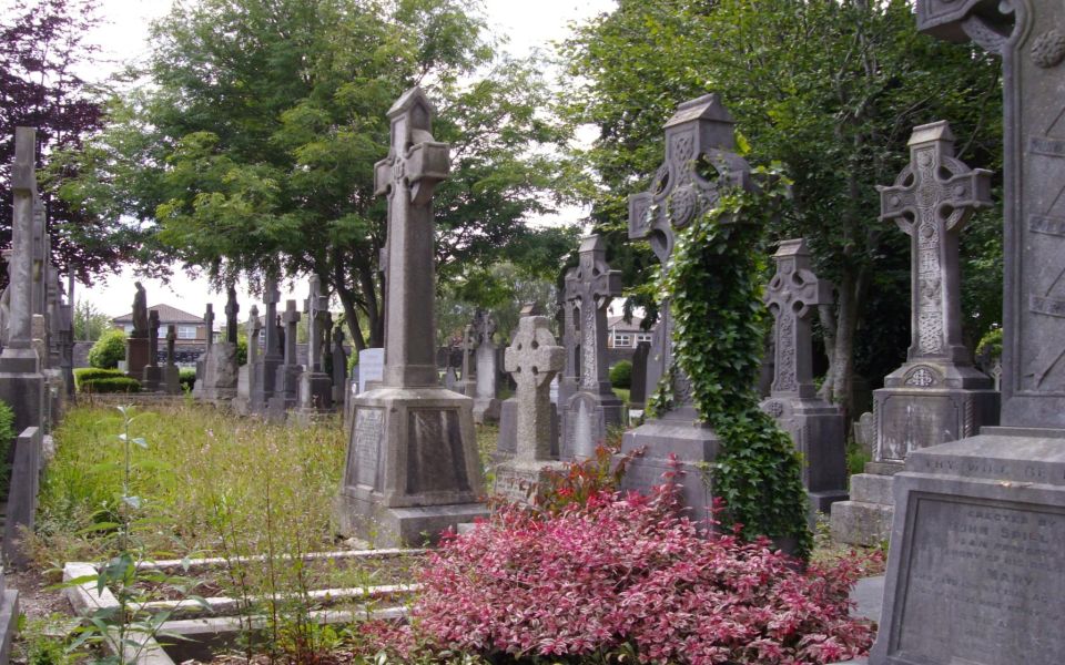 Dublin Glasnevin National Cemetery Audio Tour With Transfers - Audio Guide Languages