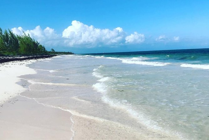 Dunns River Falls and Beach From Ocho Rios Jamaica - Exploring Ocho Rios and Beyond