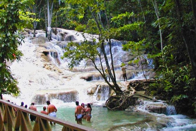 Dunns River Falls Private Tour - Preparing for the Adventure