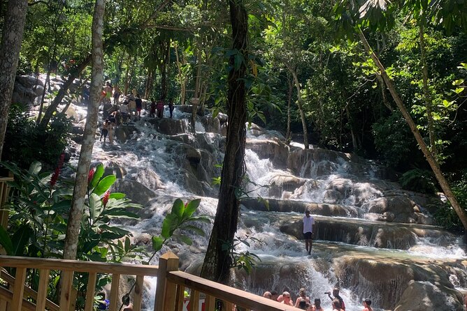 Dunns River Falls, Zipline Adventure From Kingston - Booking and Pricing Details