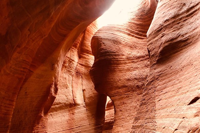 East Zion 4 Hour Slot Canyon Canyoneering UTV Tour - Customer Reviews