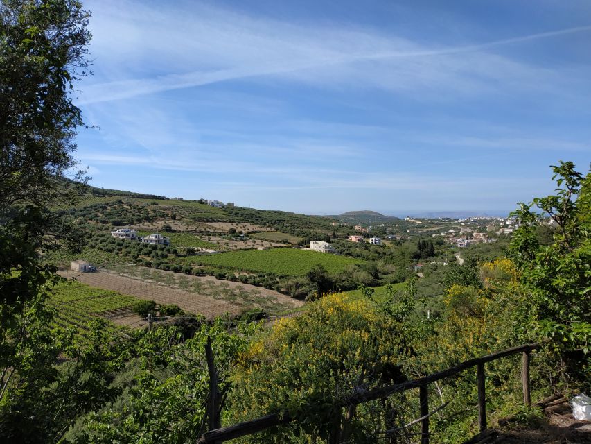 Ecobike: Food Tasting - Discover Cretan Cuisine & Villages - Expert-led E-biking Experience