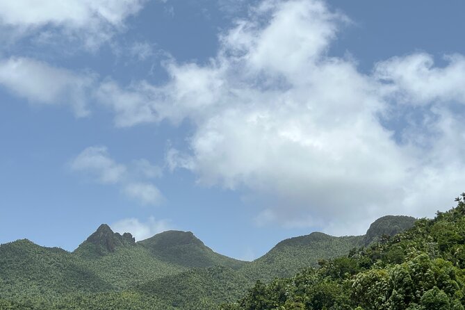 El Yunque National Forest Guided Tour With Transport - Puerto Rico Highlights