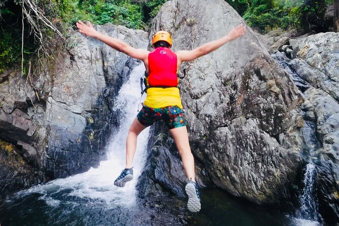 El Yunque Rainforest Tour: Natural Waterslides Adventure - Knowledgeable Local Guidance