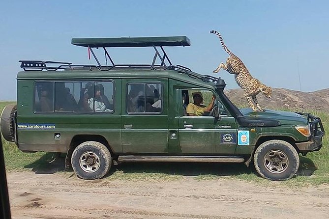 Elephant Special Serengeti & Ngorongoro Crater 5 Days / 4 Nights - Safari Experience