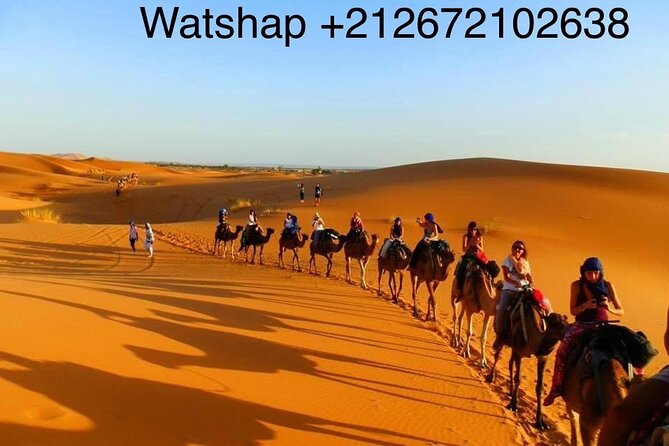 Enjoy1 Night Berber Camp Sahara Desert,Camel Sunset Sunrise Quad Sunboarding ATV - Pickup and Return Details