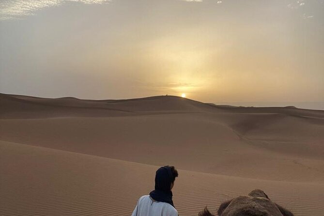 Erg Chegaga Desert in Two Days One Night From Zagora - Accessibility and Transportation Options