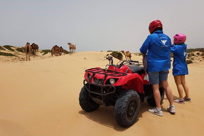 Essaouira: 2h/ Quad + 2h/ Dromedary Free Transfer - Location and Reviews