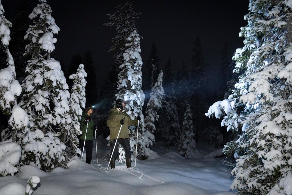 Evening Ski Trek to the Wilderness - Extra Small Group - Ski Equipment and Gear