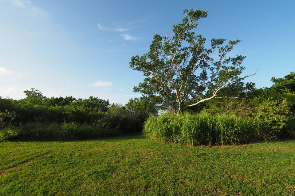 Everglades National Park: Self-Guided Driving Audio Tour - Flexible Scheduling and Support